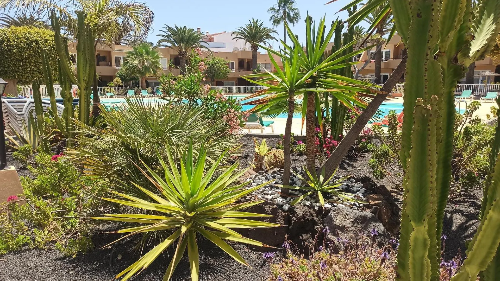 Laspalmasapartment Corralejo Apartment